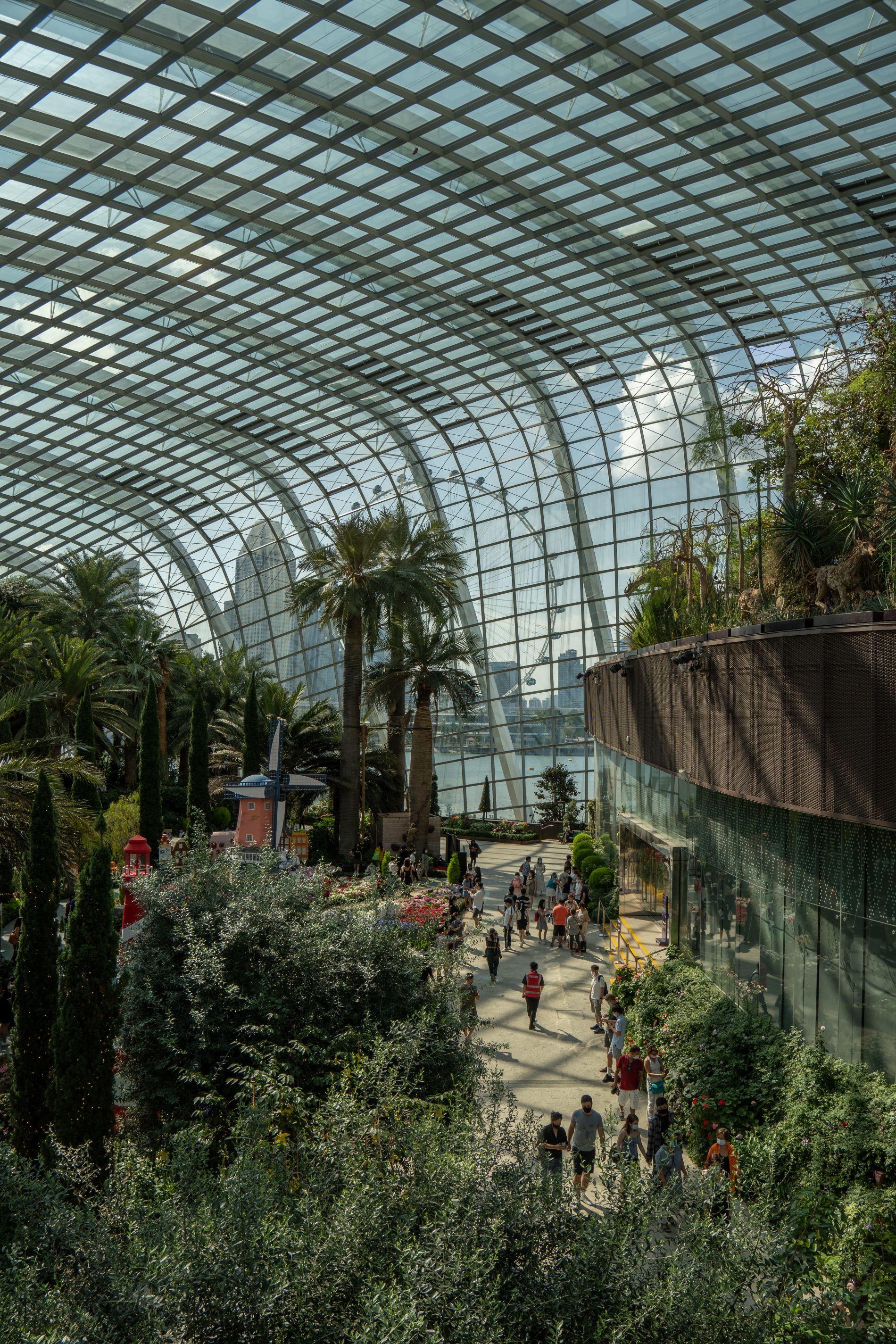 Flower Dome & Supertree Observatory -