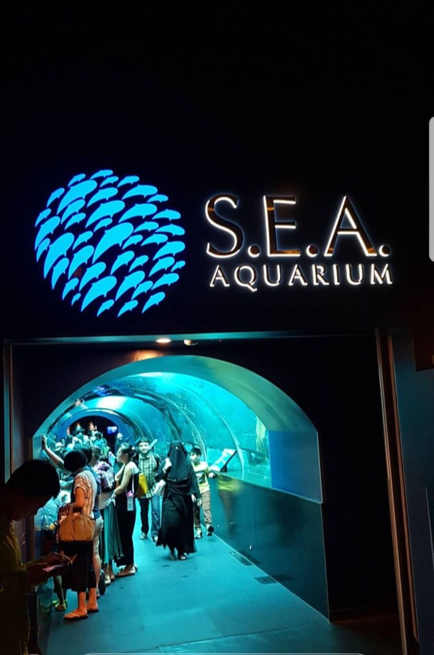 SEA Aquarium