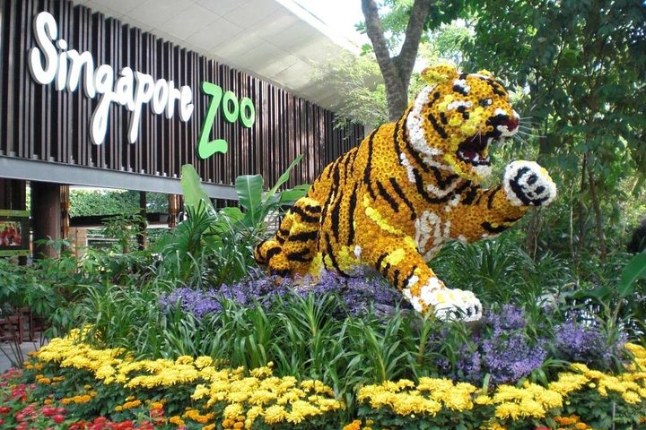 Singapore Zoo + Tram