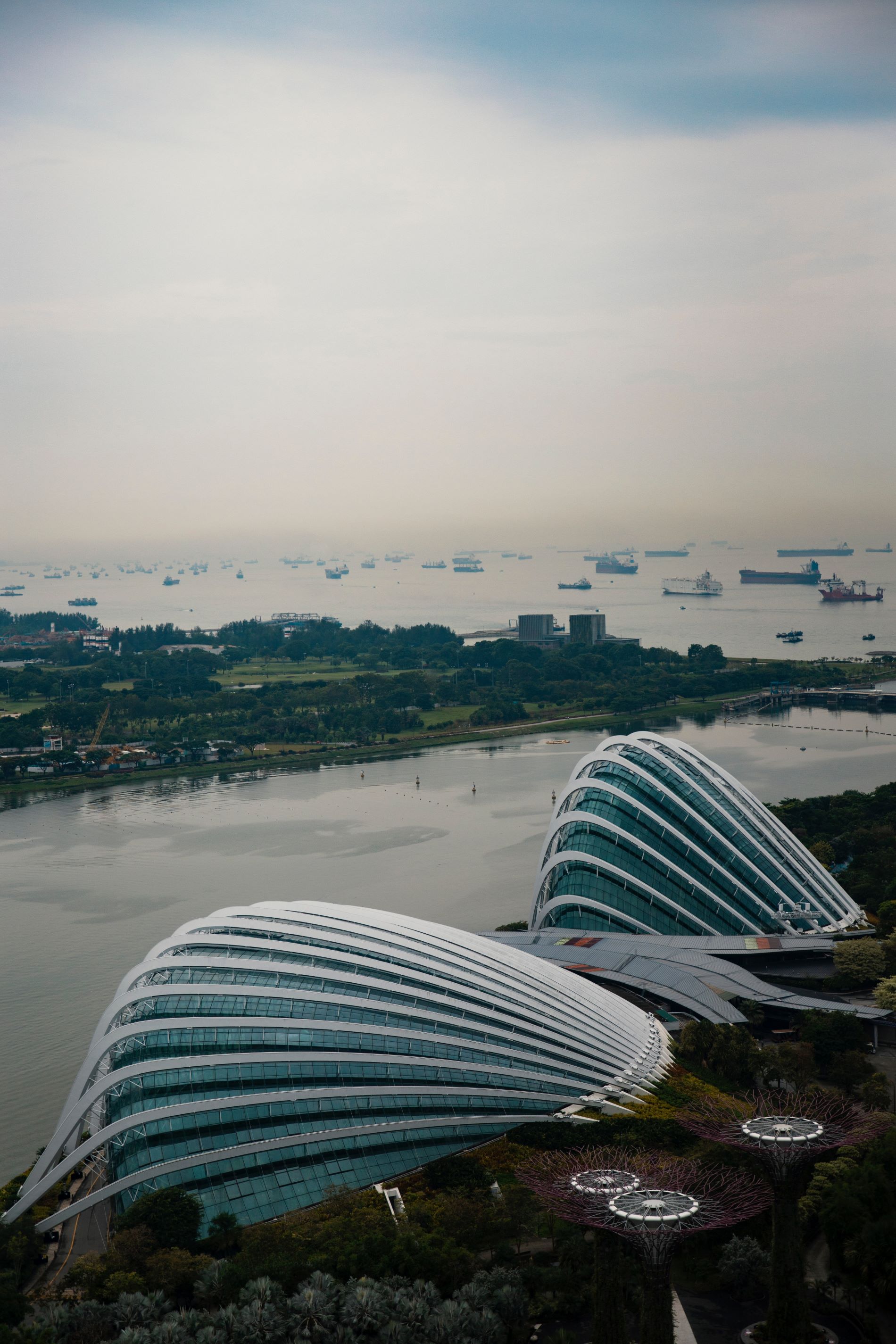 Singapore Gardens By The Bay Half day tour